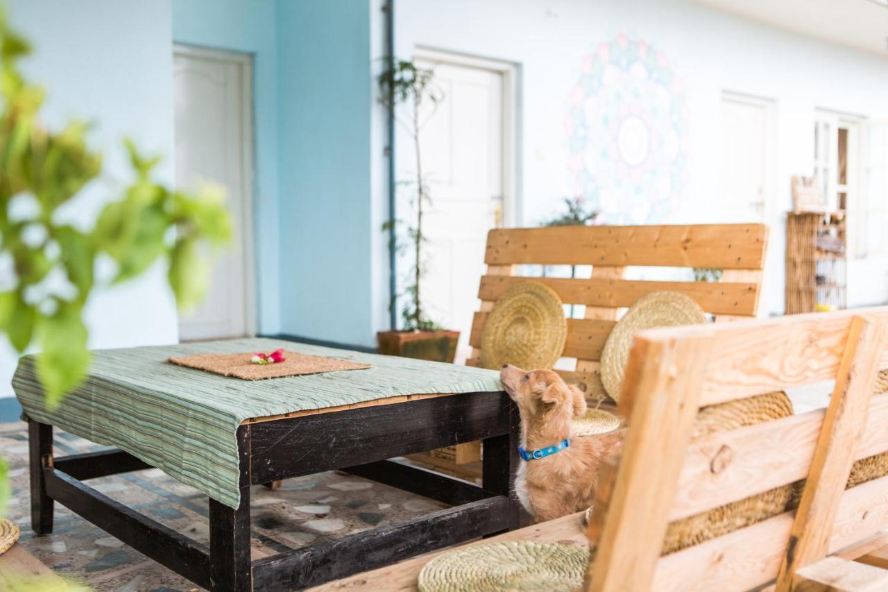 Ananda Tree House Eco Homestay Katmandu Zewnętrze zdjęcie